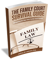 The Family Court Survival Guide