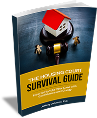 The Family Court Survival Guide