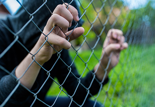 Hands gripping a chain-link fence in a green outdoor setting.
